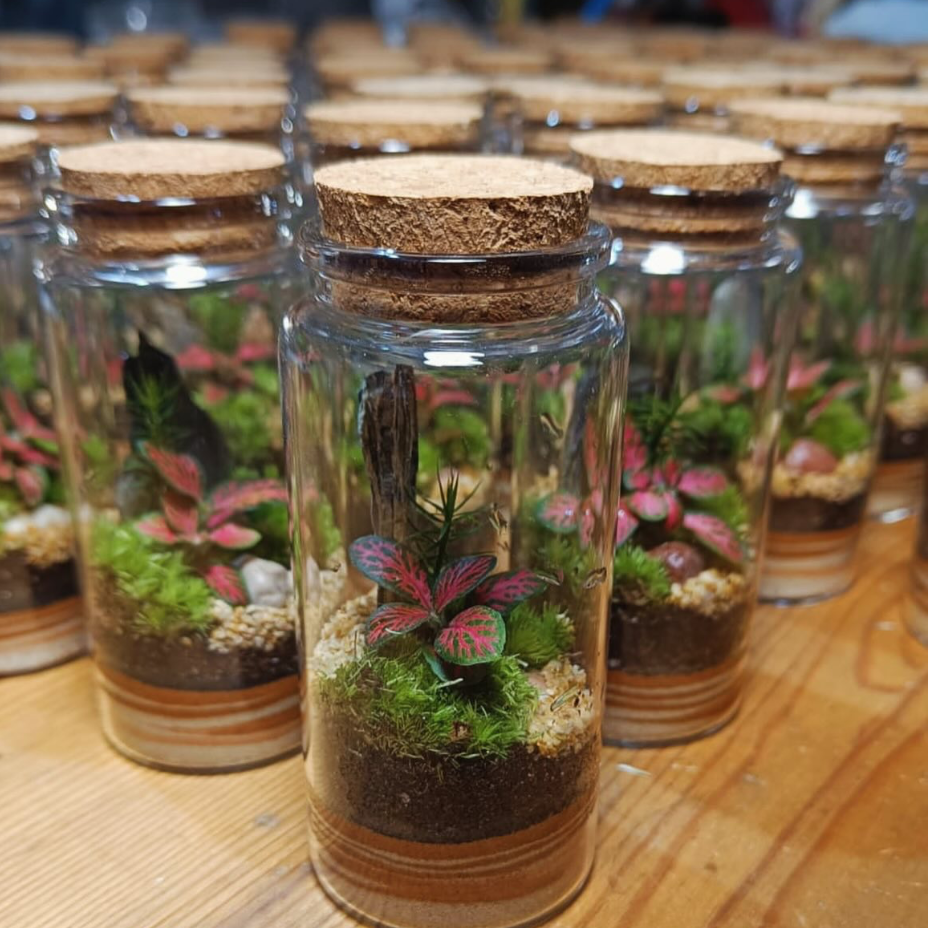 terrarios para eventos